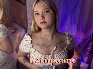 Karinacane
