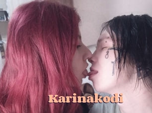 Karinakodi