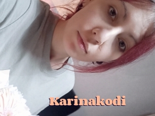 Karinakodi