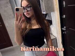 Karinamikus