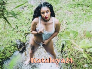 Kataleya24