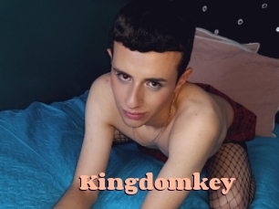 Kingdomkey