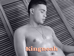 kingnoah Chatte Rasée