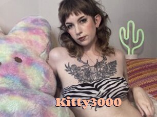 Kitty3000