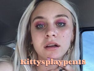 Kittysplaypen18