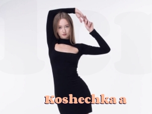 Koshechka_a