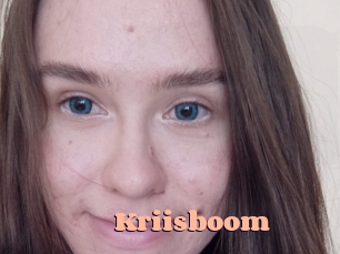 Kriisboom