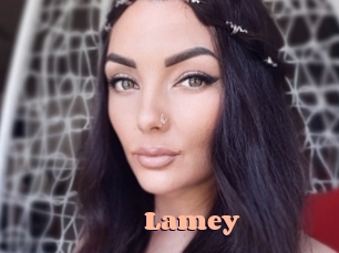 Lamey Chatte Rasée