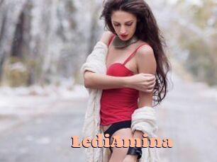 LediAmina