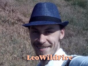 LeoWildFire