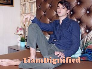 LiamDignified