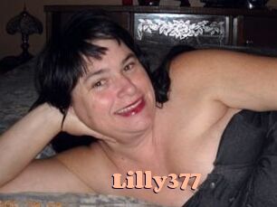 Lilly377