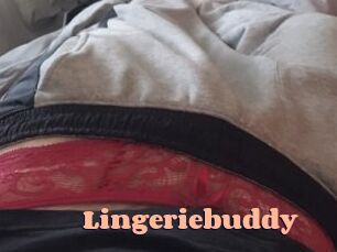 Lingeriebuddy