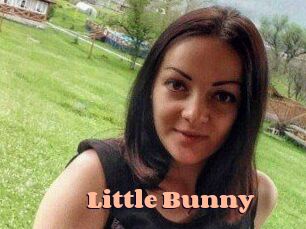 Little_Bunny_