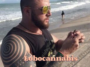 Lobocannabis