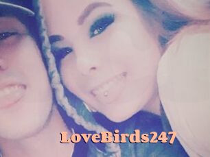 LoveBirds247