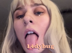 L4dybug