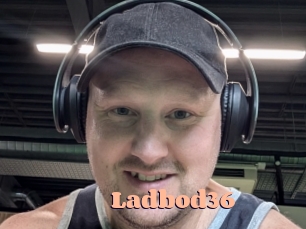 ladbod36 Chatte Rasée