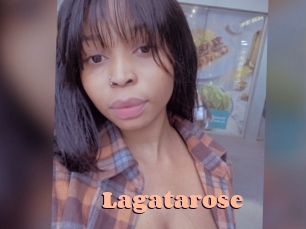 lagatarose Chatte Rasée