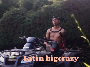 Latin_bigcrazy