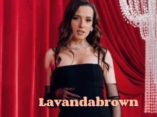 lavandabrown Chatte Rasée
