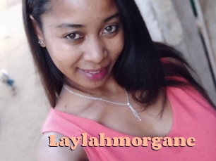Laylahmorgane