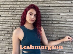 Leahmorgaan