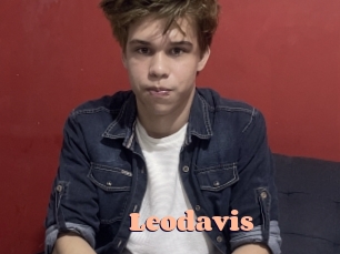 leodavis Chatte Rasée