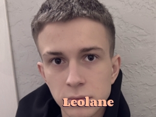leolane Chatte Rasée