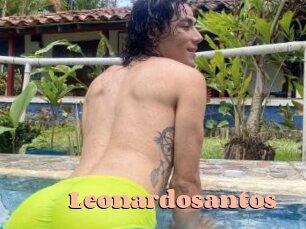 Leonardosantos