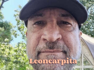 Leoncarpita