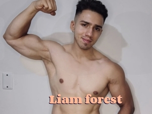 Liam_forest