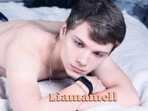 liamamell Chatte Rasée