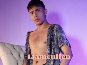 Liamcullen