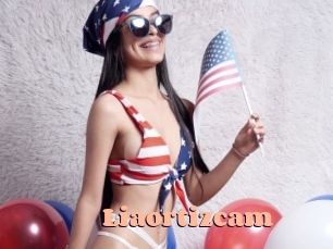 Liaortizcam