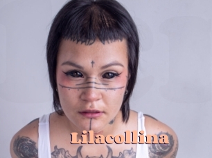 Lilacollina