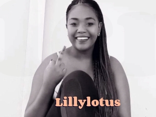 Lillylotus