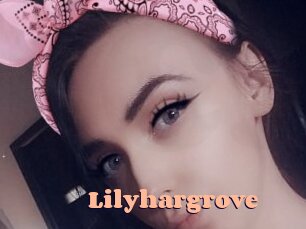 Lilyhargrove