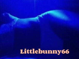 Littlebunny66