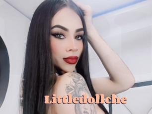 littledollche Chatte Rasée