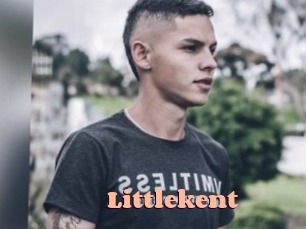 littlekent Chatte Rasée