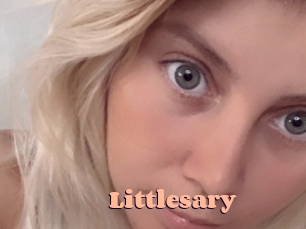 littlesary Chatte Rasée