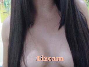Lizcam
