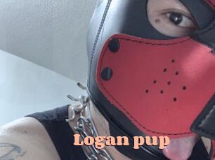 logan_pup Chatte Rasée