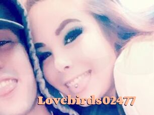 Lovebirds02477