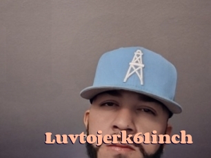 Luvtojerk61inch