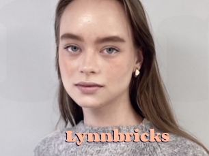 Lynnbricks