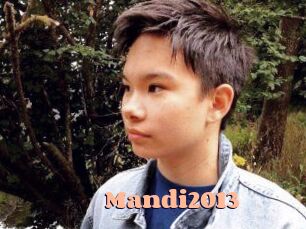 Mandi2013
