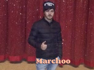 Marchoo Chatte Rasée