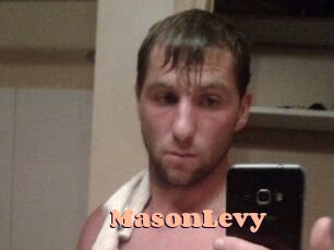 Mason_Levy